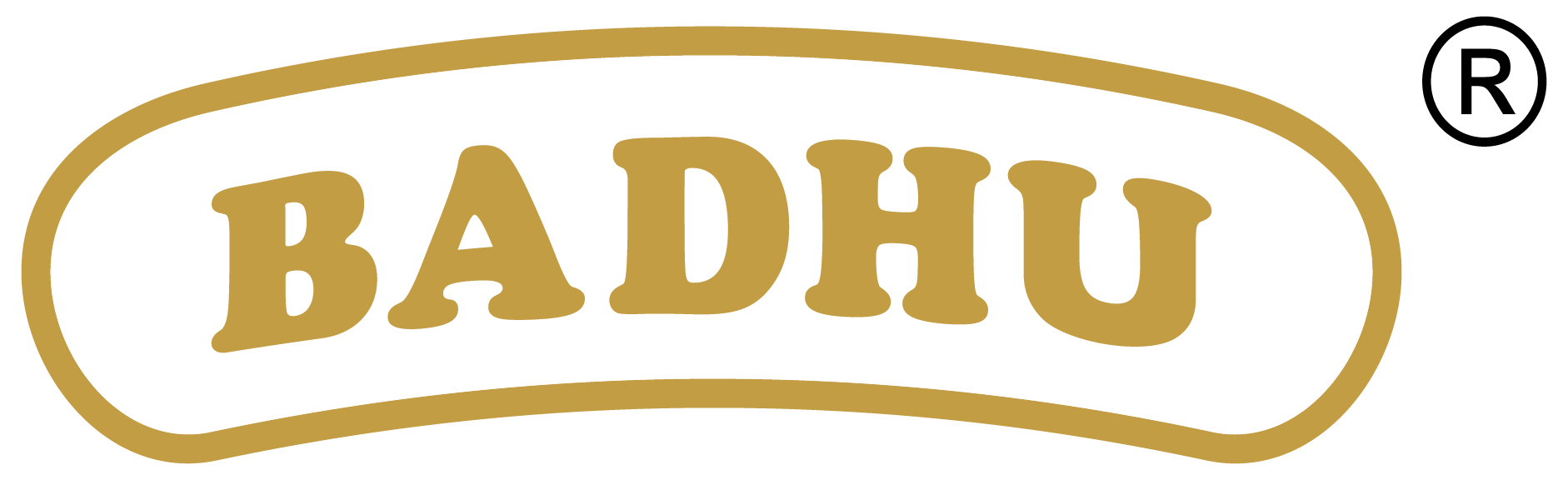 Badhu Spices – Authentic Indian Masala & Pure Spices Brand