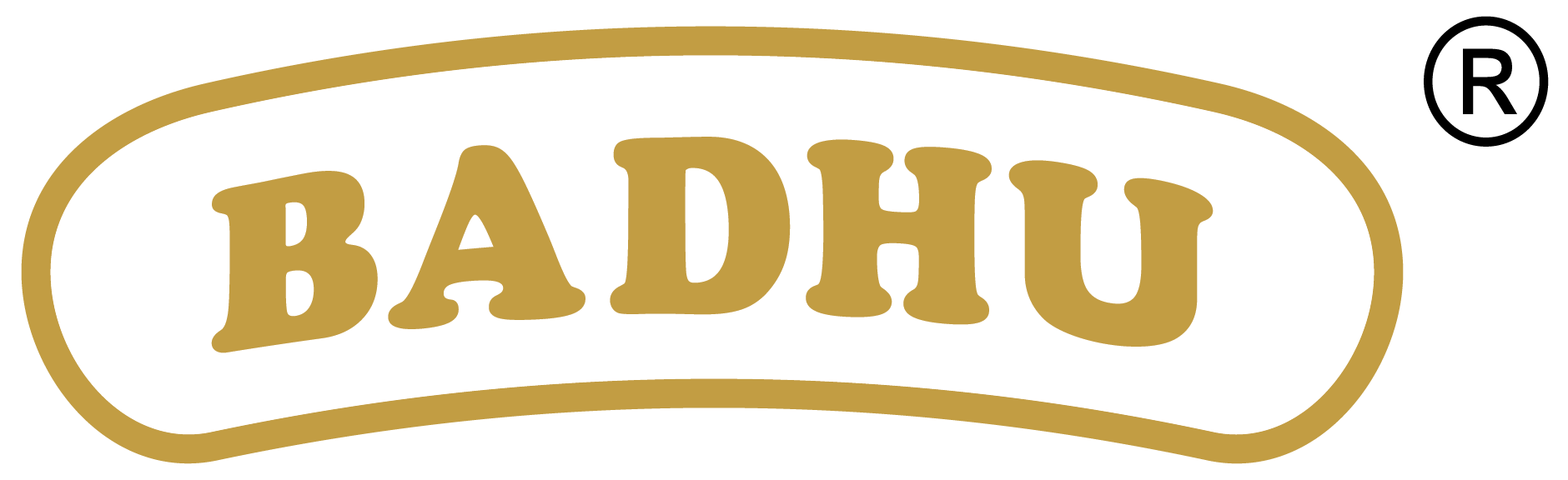 Badhu Spices – Authentic Indian Masala & Pure Spices Brand